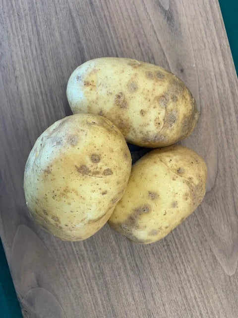 Potatoes, White Kennebec