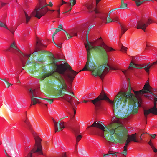 Aji Dulce Peppers