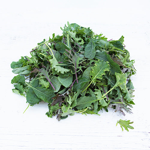 Baby Kale
