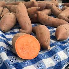 Small Covington Sweet Potatoes