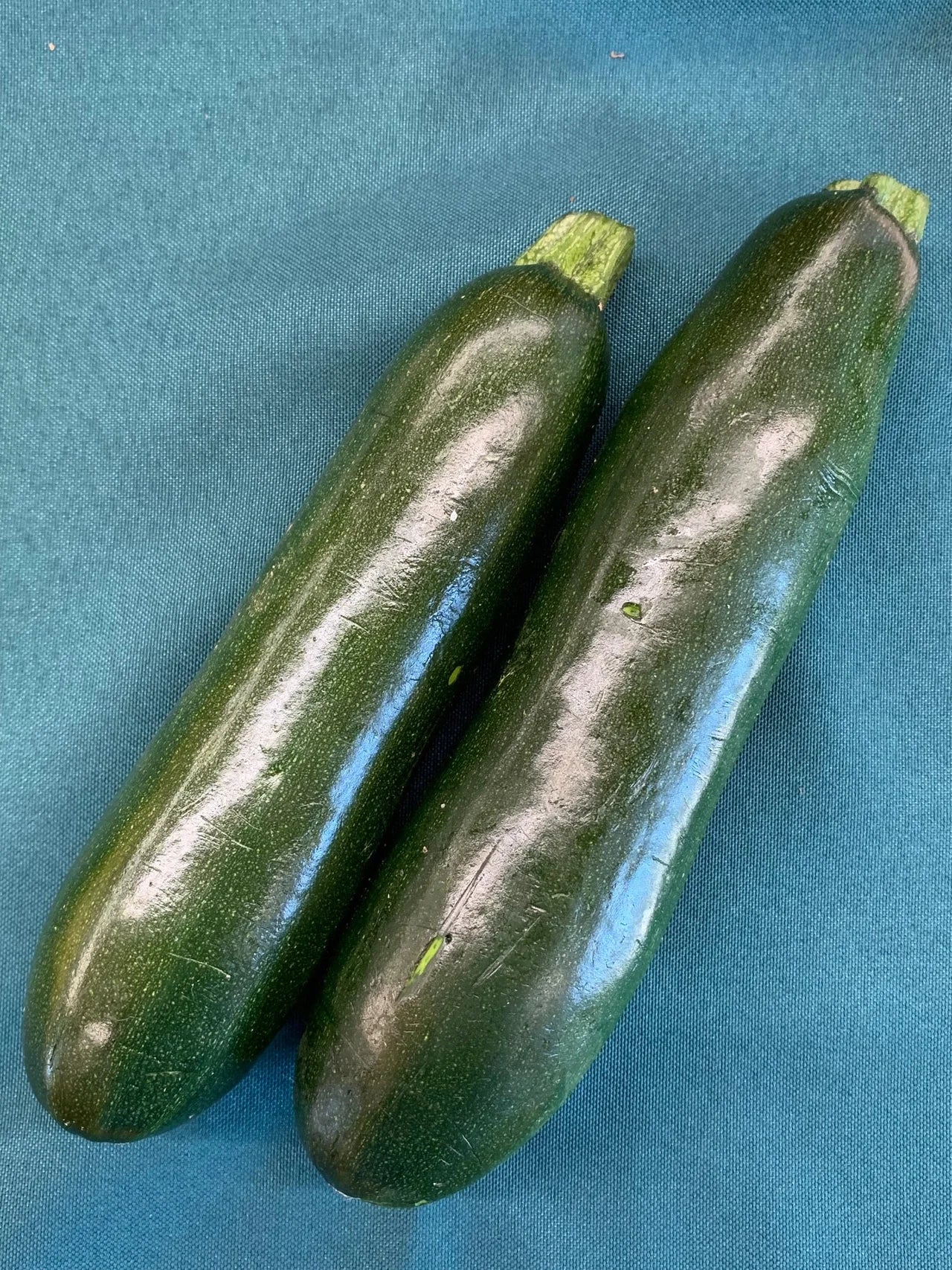 Squash, Zucchini Medium