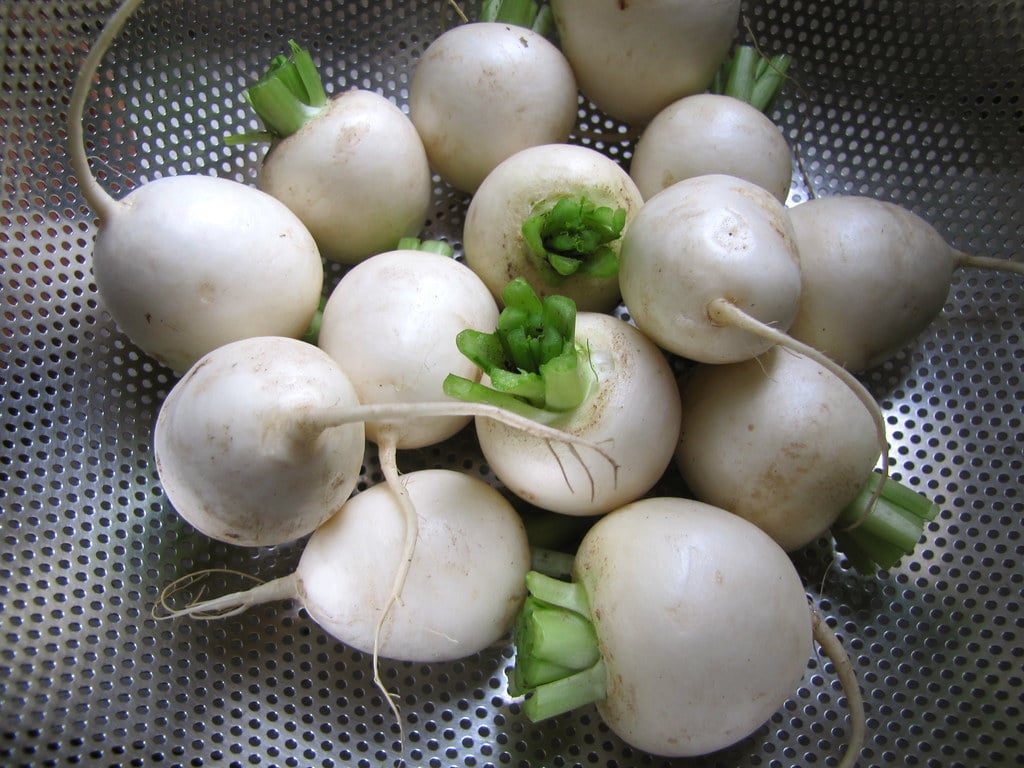 Hakurei Turnips w/o tops