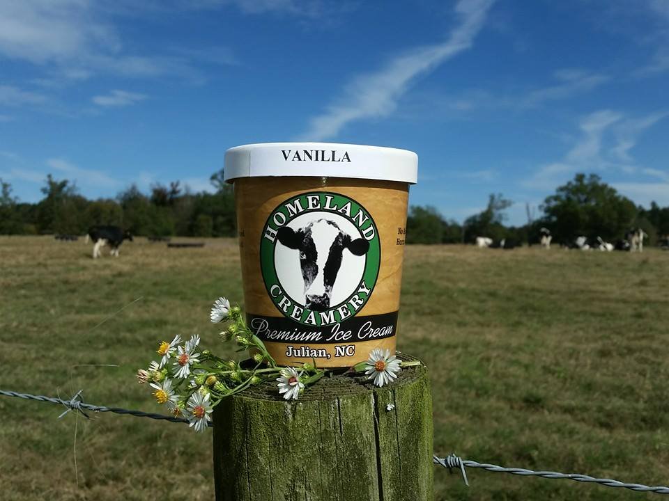 Homeland Creamery Assorted Ice Cream