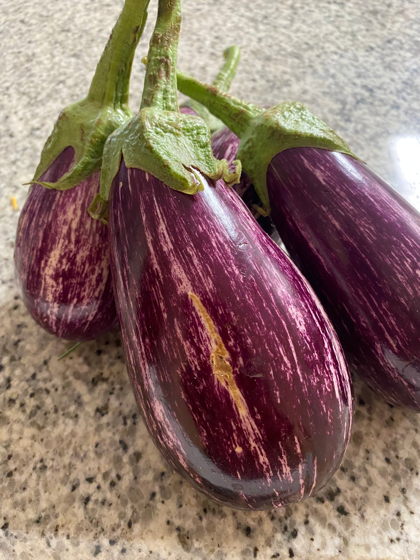 Eggplant-Lick Branch Farms