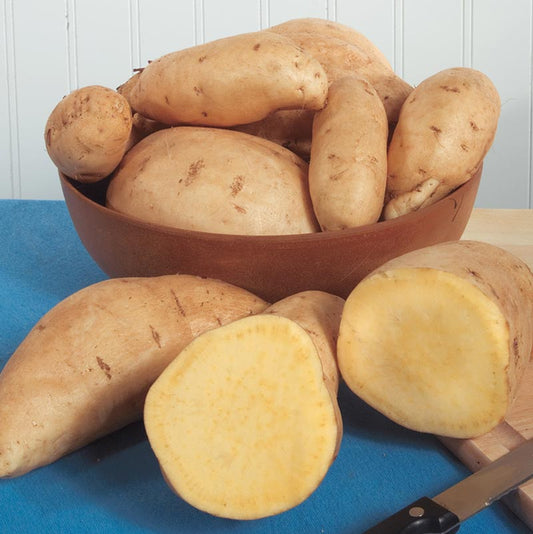 O Henry Sweet Potatoes