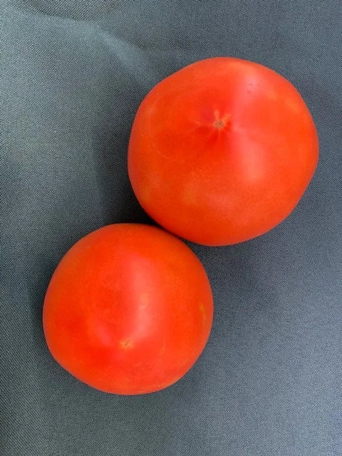 Tomatoes, Red Jumbo