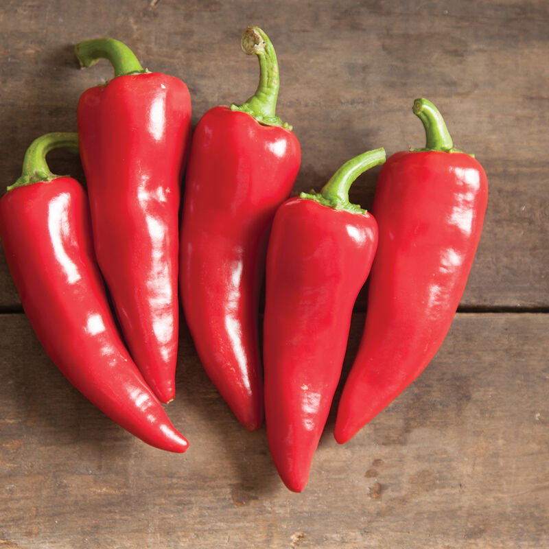Red Jalapeno Peppers
