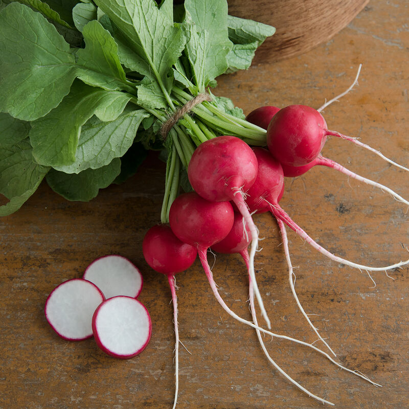 Red Radishes