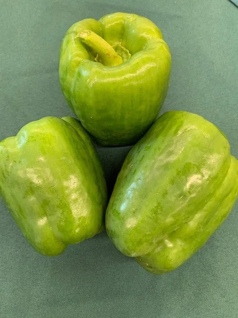 Pepper, Green Bell