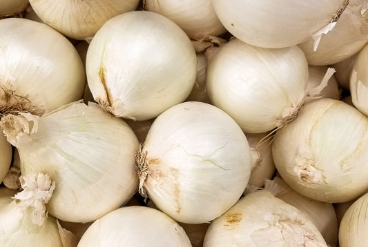 White Onion