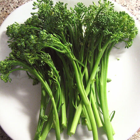 Broccolini