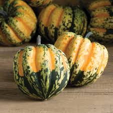 Acorn squash