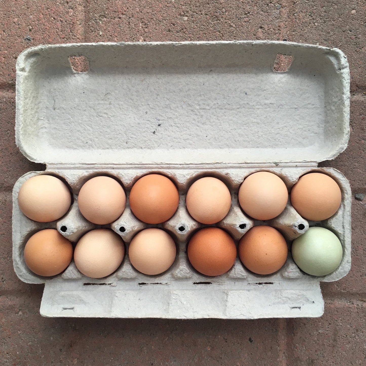 DFC - Eggs