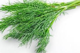 *ORGANIC* Dill