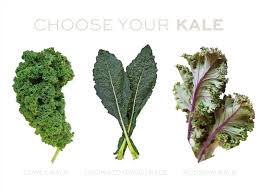 Baby Kale