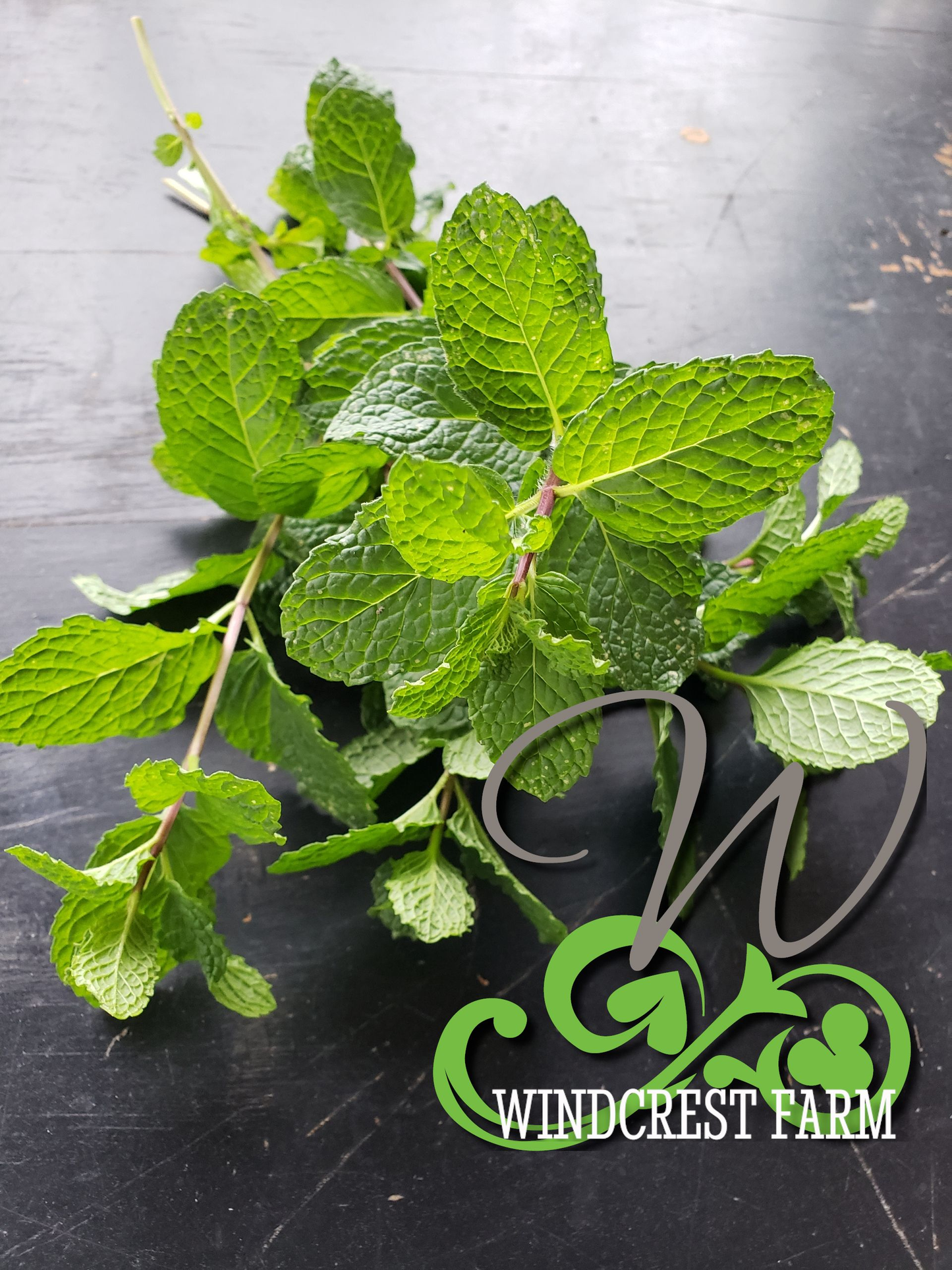 *ORGANIC* Spearmint