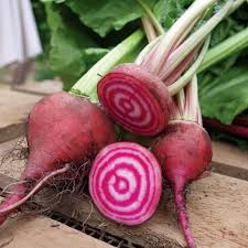 Chioggia Beets