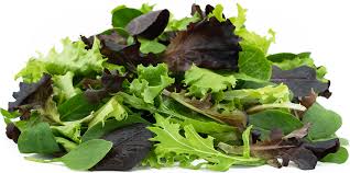 Spring Mix