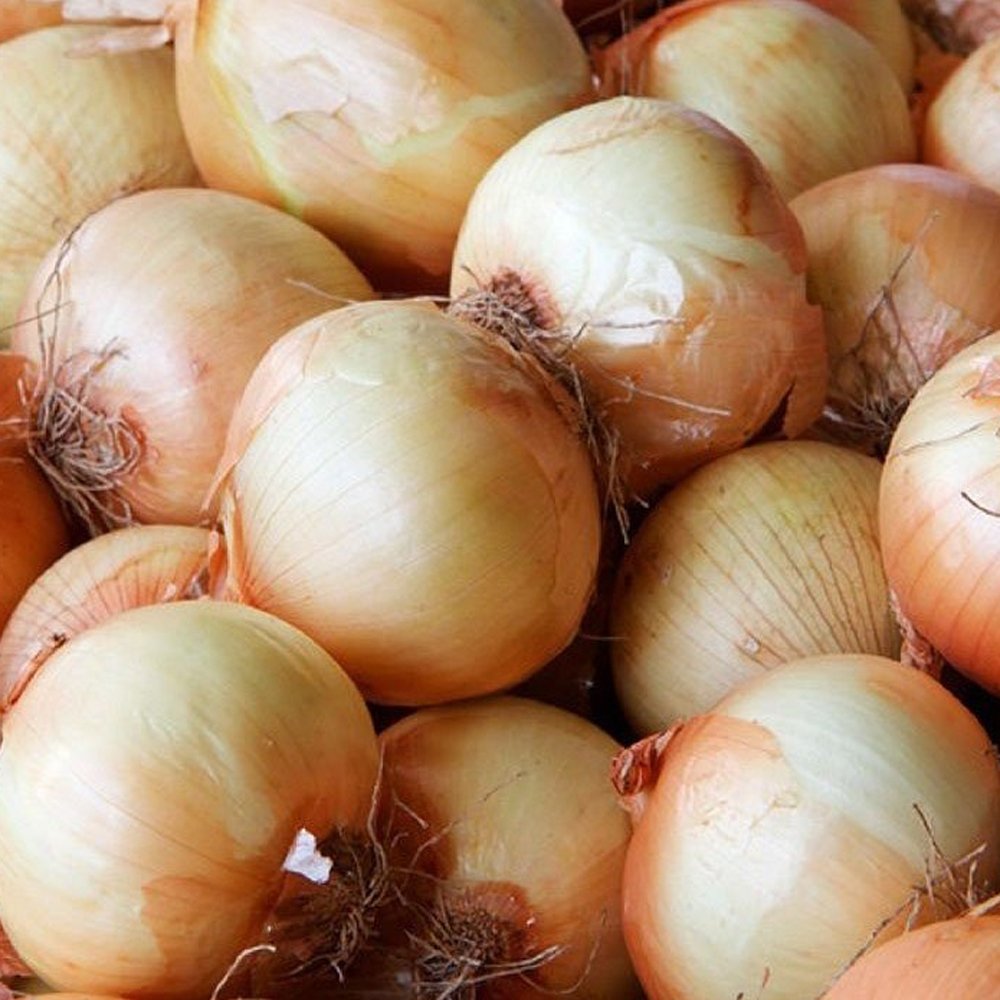Yellow Onion