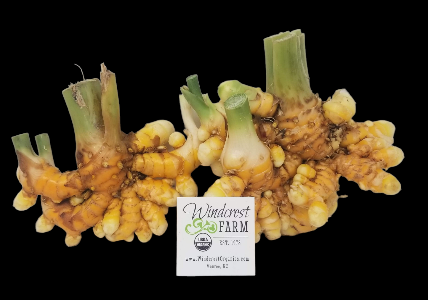 *ORGANIC* Turmeric