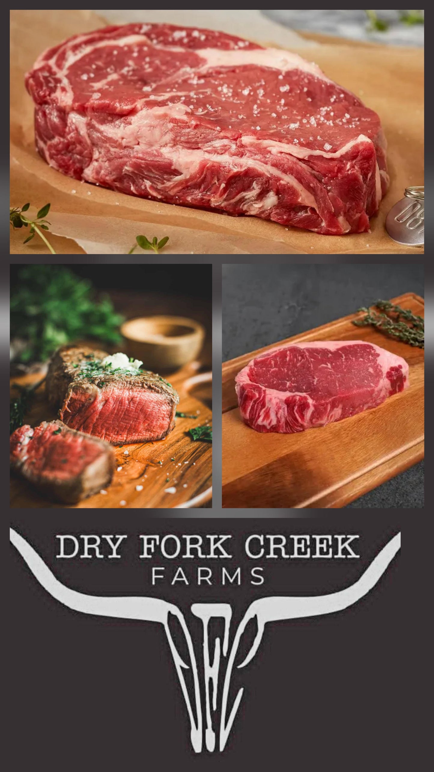 DFC- Anytime Steak Griller