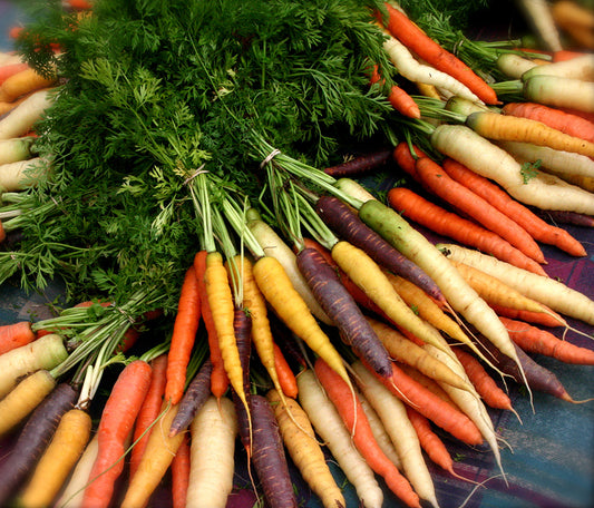 Rainbow Carrots