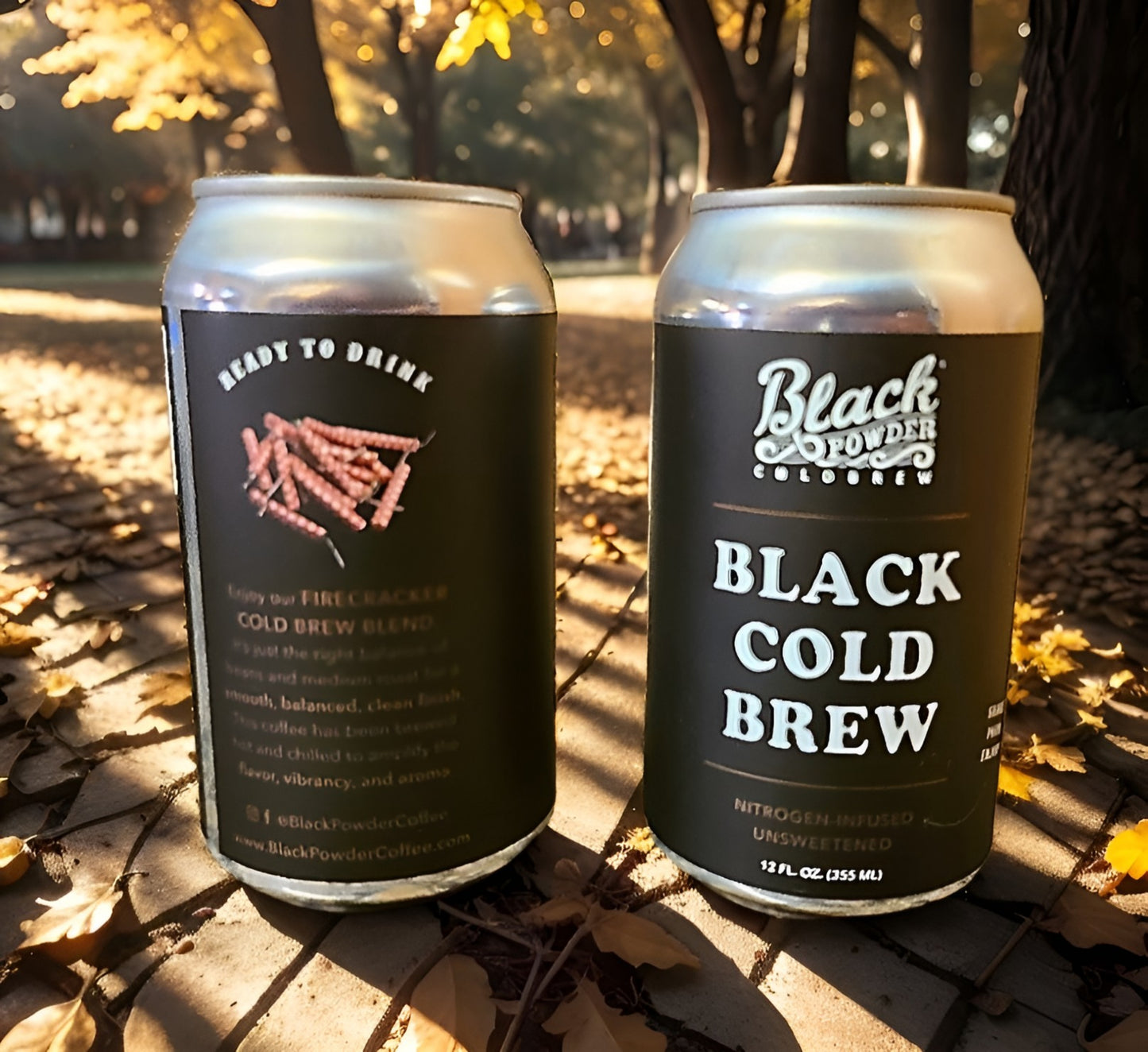 Black Powder Unsweetened Black Cold Brew Coffee