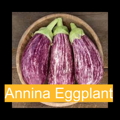 Boy & Girl Farm Eggplant
