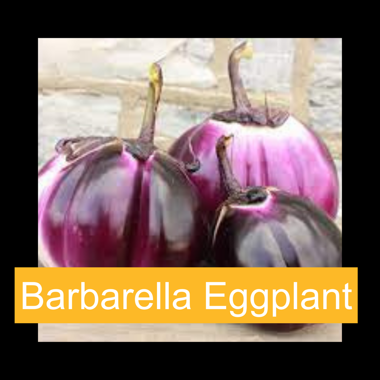 Boy & Girl Farm Eggplant