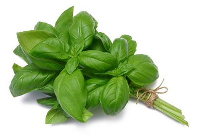 *ORGANIC* Basil