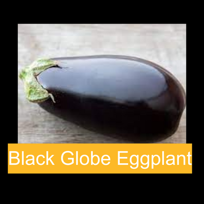 Boy & Girl Farm Eggplant