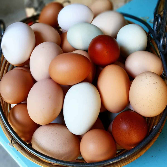 Eggs