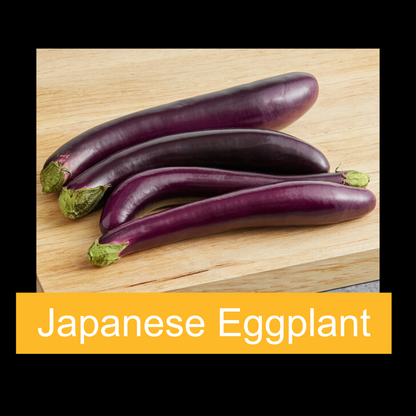 Boy & Girl Farm Eggplant
