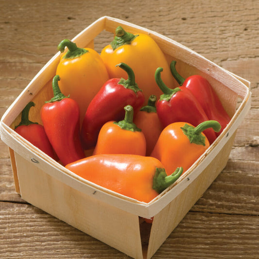 Lunchbox Peppers