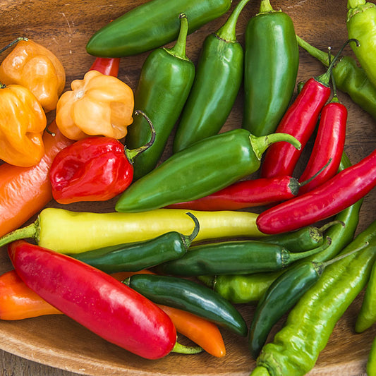 *ORGANIC* Hot Pepper Mix