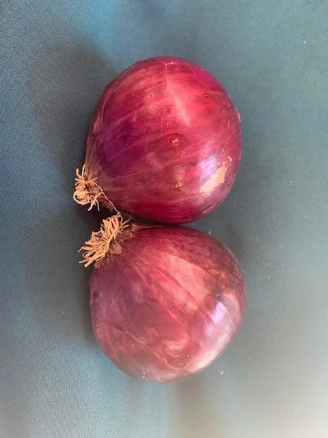 Onions, Green (Red)