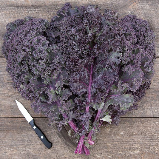 Scarlet Kale