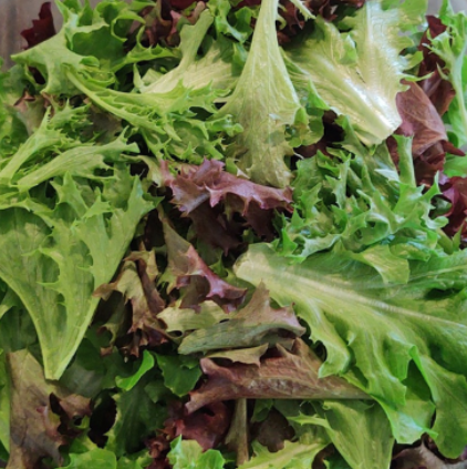 Spring Mix