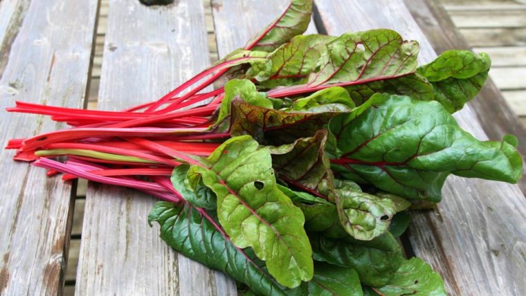 Swiss Chard