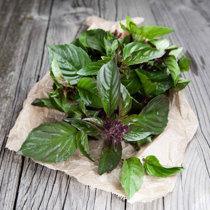 Basil