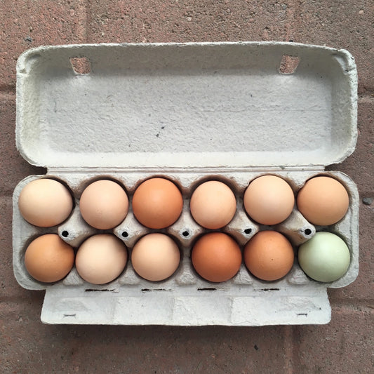 DFC - Eggs