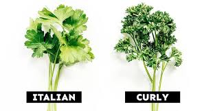 Parsley