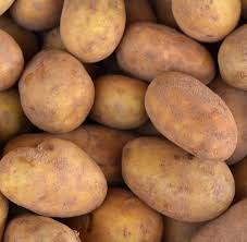Kennebec Potatoes