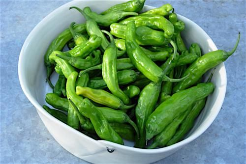 *ORGANIC* Shishito Peppers