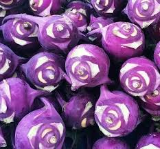 Purple Kohlrabi