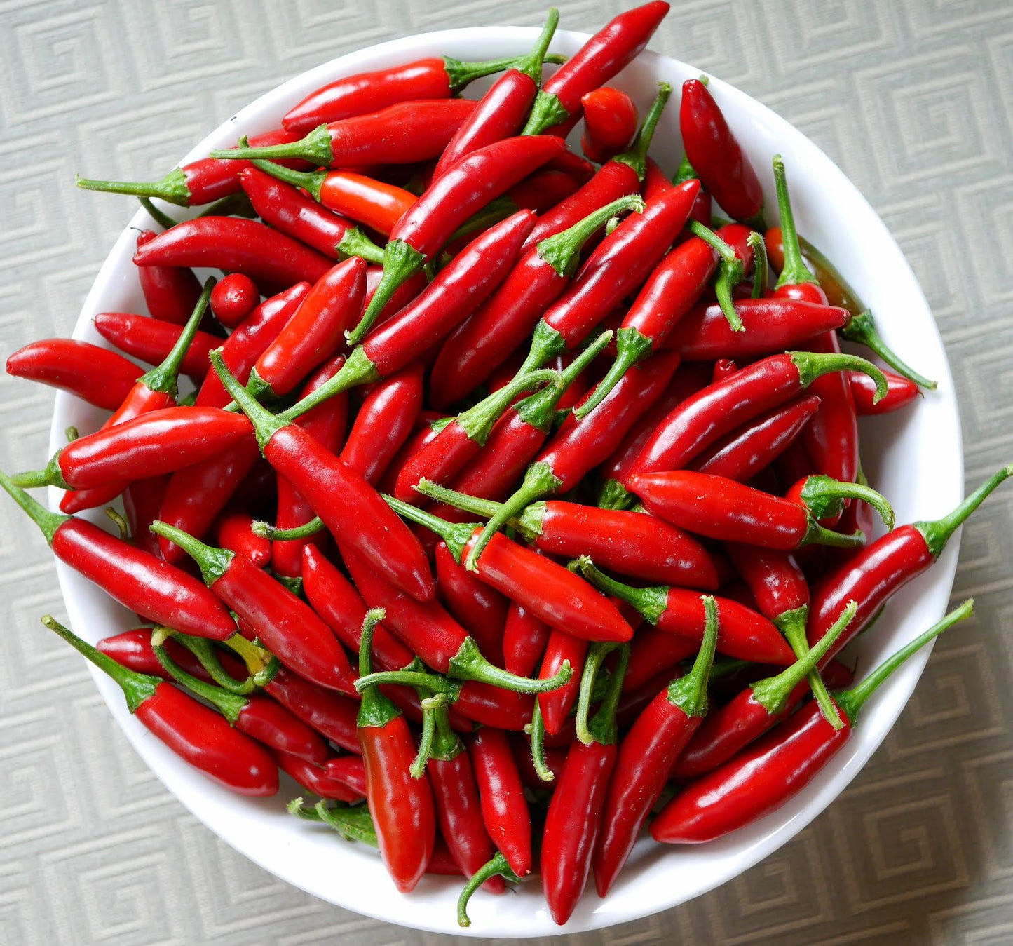 Serrano-Red