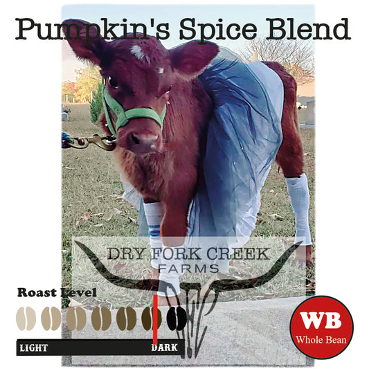 DFC Pumpkin's Spice