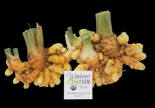 *ORGANIC* Turmeric