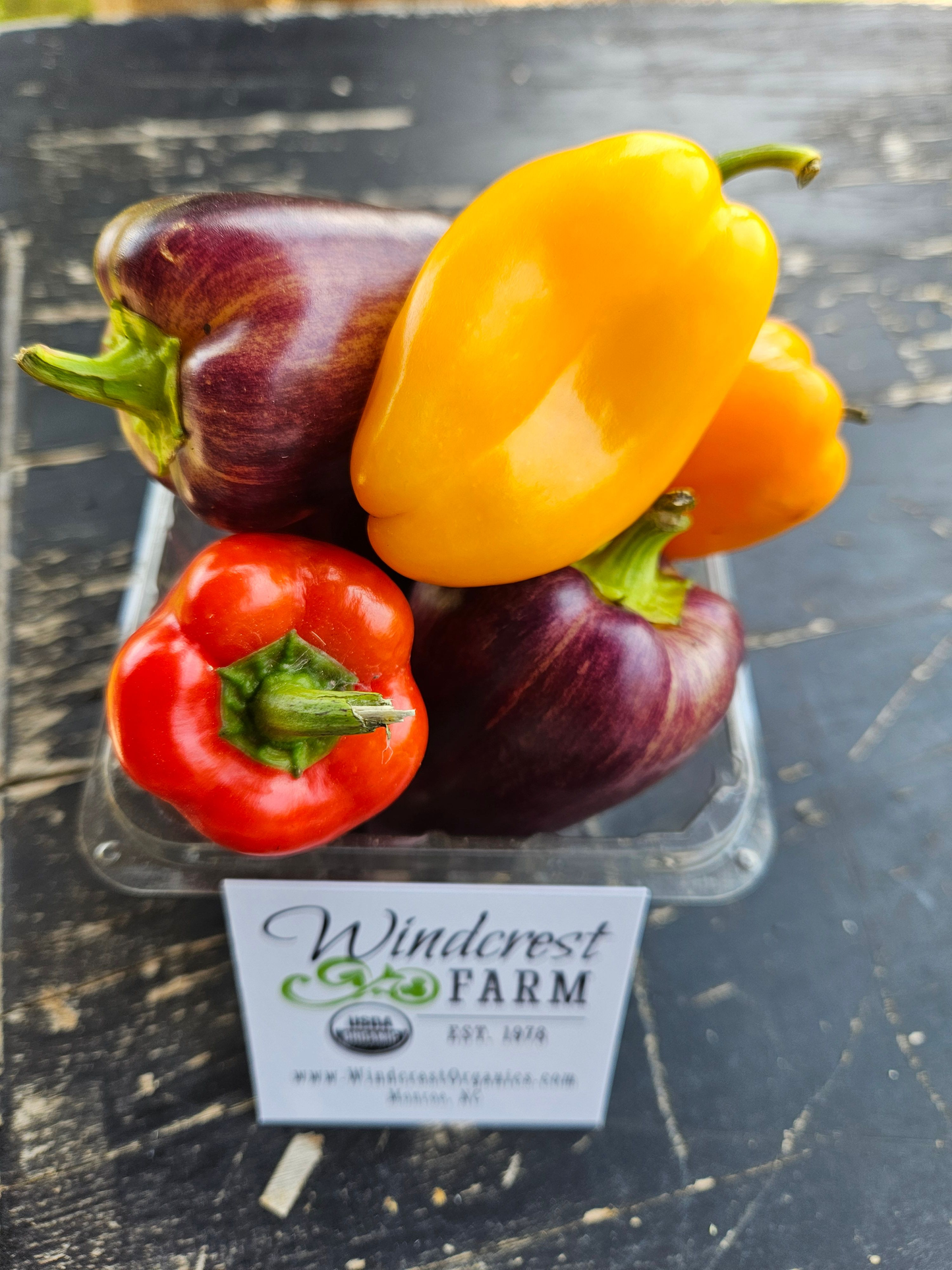 *ORGANIC* Sweet Mini Peppers